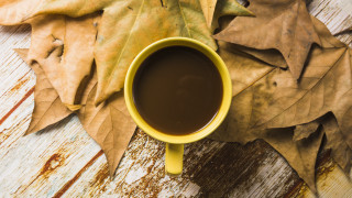 Coffee leaves phone autumn realistic - a phone free wallpaper for desktop