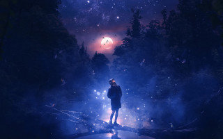 Forest moon night stars fireflies - the middle of a forest free wallpaper for desktop