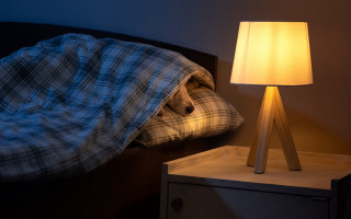 Bed lamp pillow plaid blanket - diffuse free wallpaper for desktop