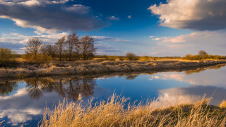 River clouds trees autumn beach - a few bush free wallpaper