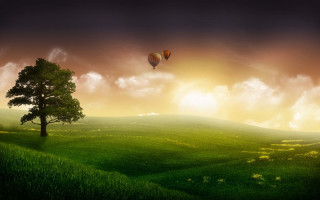Tree hotairballoon sunset landscape matte - hot free wallpaper