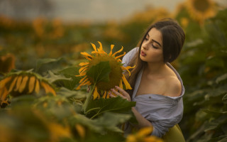 Woman sunflower field blurry motion - anka zhuravleva free wallpaper