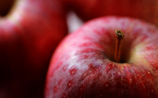 Red apple macro moon red - a yellow eye free wallpaper