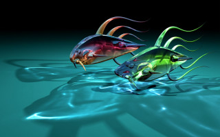 Colorful fish floating water black - a couple free wallpaper