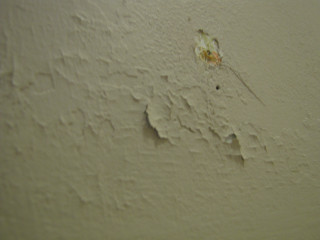 Peeling paint white wall brown - clyfford still free wallpaper