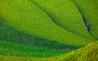 Lush green field hillside people - a lush green field next free wallpaper
