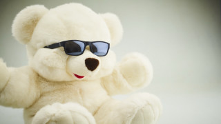 White teddy bear sunglasses sitting - a white teddy bear free wallpaper