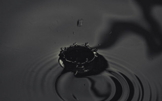 Water droplet black white monochrome - a water droplet free wallpaper for desktop