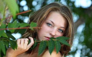 Woman leaves green blue eye - a blue eye free wallpaper