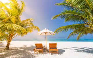 Beach chairs umbrella palm trees - blue sky free wallpaper for desktop