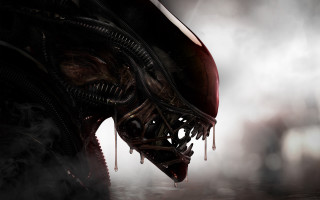Alien head steam fogy background - steam free wallpaper for desktop