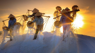 People baskets water hands sunset - their hands in free wallpaper for desktop