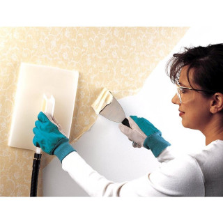 Woman blue gloves painting wall - american scene painting free wallpaper for tablet