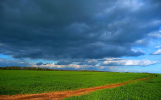 Dirt road green field cloudy 6 - a dirt path free wallpaper