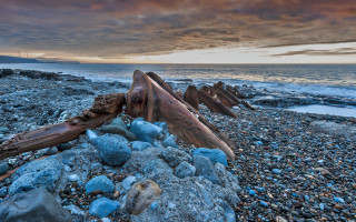 Beach rocks driftwood sunset cloudy - a sunset in the background and a body of water free wallpaper