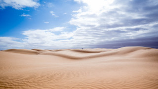 Desert sandscape clouds trees ocean - a few cloud free wallpaper for desktop