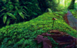 Mossy hill yellow flower path - anato finnstark free wallpaper for desktop