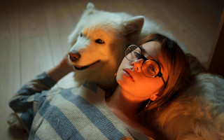 Woman dog glasses romantic shiba - anka zhuravleva free wallpaper