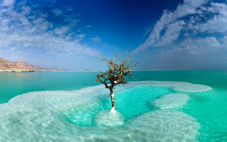 Tree water mountain sky panorama - panoramic free wallpaper