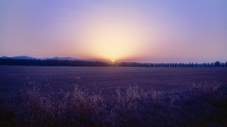 Sunset trees hill night sky - cimabue free wallpaper