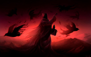 Person bird holding bird flying - the air behind free wallpaper