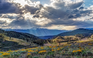 Mountains clouds sunrays yellowflowers nature - crepuscular free wallpaper for desktop