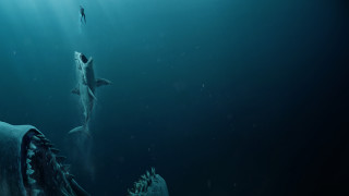 Shark man underwater milkyway starrysky - a shark free wallpaper