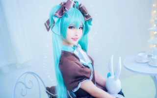 Blue hair bunny ears cosplay - cosplay free wallpaper for desktop