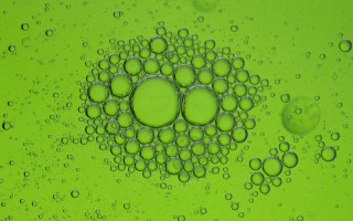 Green bubbles water droplet macro - the bottom of the image free wallpaper for desktop