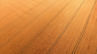 Large field tractor person sky - heavy free wallpaper