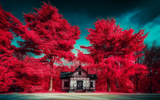 Red house forest autumn architecture - a dark sky in the background free wallpaper