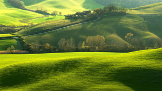 Green landscape rolling hills trees - a green landscape free wallpaper