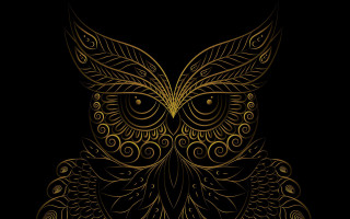Golden owl intricate patterns dark - pattern free wallpaper for desktop