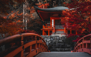 Red bridge park autumn pagoda - a pagoda in the background free wallpaper