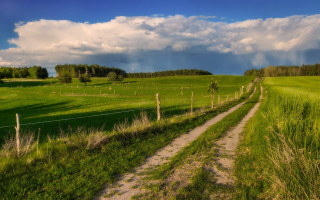 Dirt road green field fence - a fence and trees free wallpaper
