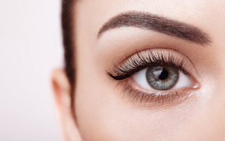 Woman eye long lashes brown - a womans eye free wallpaper