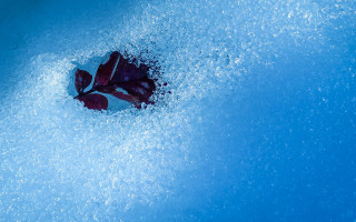 Flower blue butterfly moonlight starry - a blue pool of water free wallpaper