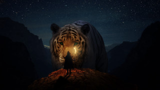 Person tiger night star fantasy - a rock free wallpaper for desktop