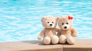 Teddy bears pool beach summer - two teddy free wallpaper