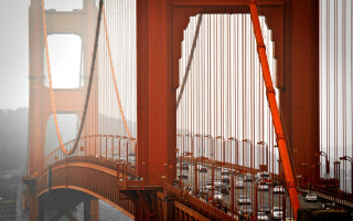 Golden gate fog crane matte - a crane free wallpaper