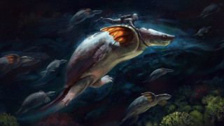 Man riding turtle ocean dolphins - a painting of a man riding free wallpaper