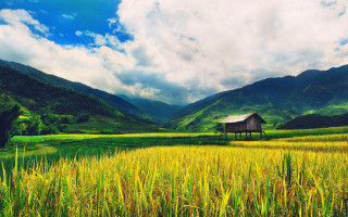 House field grass mountains clouds - a house in a field free wallpaper