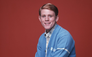 Man blue sweater red background - a red wall behind free wallpaper for desktop