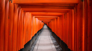 Orange pillars symmetry torii sunset - christo free wallpaper