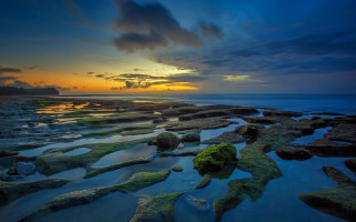 Sunset rocky beach moss water 2 - the rock and water free wallpaper
