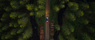 Forest road redcar nature outdoors - auseklis ozol free wallpaper