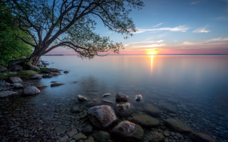Tree lake sunset clouds mountain - the shore of a lake free wallpaper