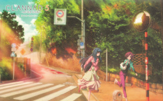 Women walking dog street light - a street light free wallpaper