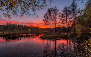 Lake trees sunset mystical autumn - tree and a sunset in the background free wallpaper