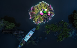 Ecological boat flower water microscopic - a boat in the background free wallpaper for desktop